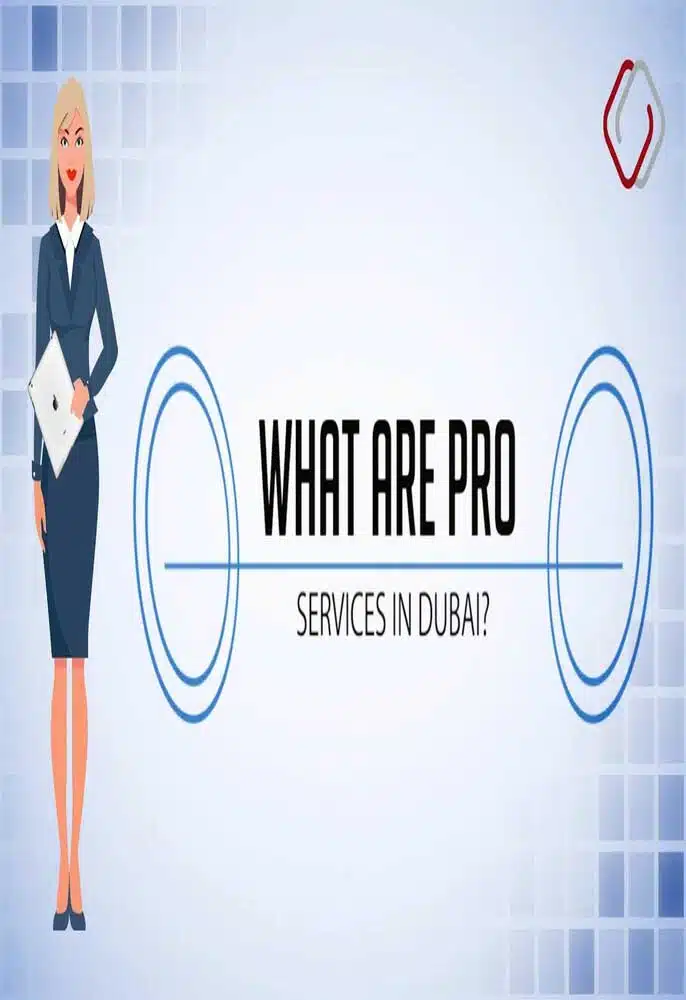 Dubai PRO Services